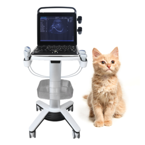 Yonker Veterinary Ultrasound Portable Color Doppler Ultrasound Machine PU-VP151A