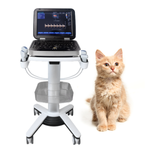 Yonker Veterinary Ultrasound Portable Color Doppler Ultrasound Machine PU-VL151A