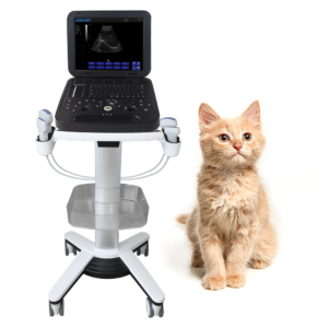 Yonker Veterinary Ultrasound Portable Color Doppler Ultrasound Machine PU-VL151A
