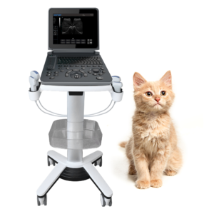 Yonker PU-VDL121A Black and white Veterinary Laptop Ultrasound