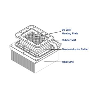 BIOBASE Real-time PCR System