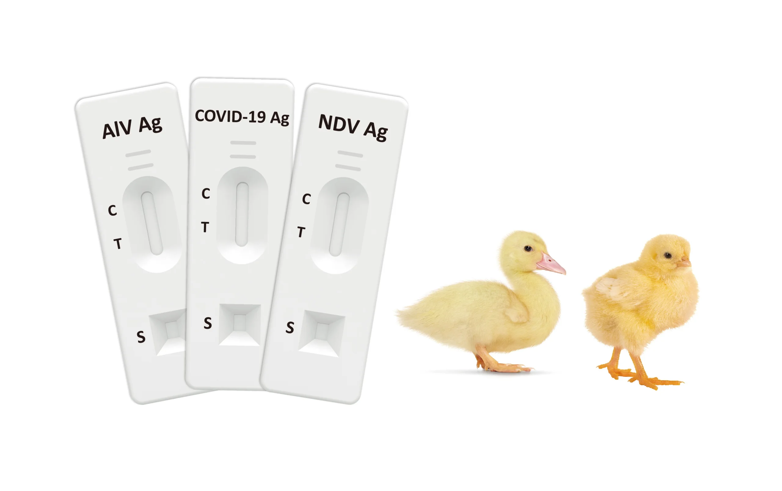 ABOUND Diagnostics Veterinary Rapid Tests 6 ABOUND Diagnostics Veterinary Rapid Tests - Image 6