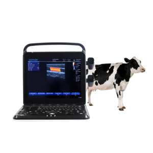 Yonker Veterinary Ultrasound Portable Color Doppler Ultrasound Machine PU-VP151A