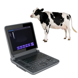Yonker PU-VDL121A Black and white Veterinary Laptop Ultrasound