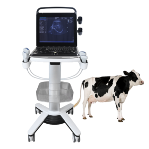Yonker Veterinary Ultrasound Portable Color Doppler Ultrasound Machine PU-VP151A