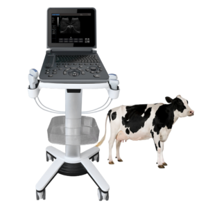 Yonker PU-VDL121A Black and white Veterinary Laptop Ultrasound