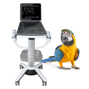 Yonker PU-VDL121A Black and white Veterinary Laptop Ultrasound