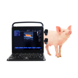 Yonker Veterinary Ultrasound Portable Color Doppler Ultrasound Machine PU-VP151A