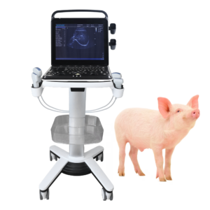 Yonker Veterinary Ultrasound Portable Color Doppler Ultrasound Machine PU-VP151A