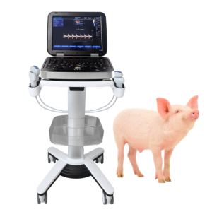 Yonker Veterinary Ultrasound Portable Color Doppler Ultrasound Machine PU-VL151A