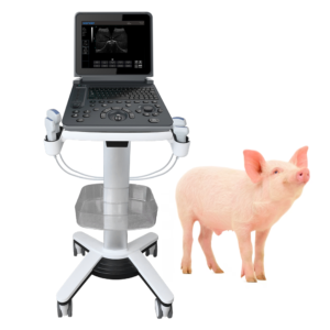 Yonker PU-VDL121A Black and white Veterinary Laptop Ultrasound