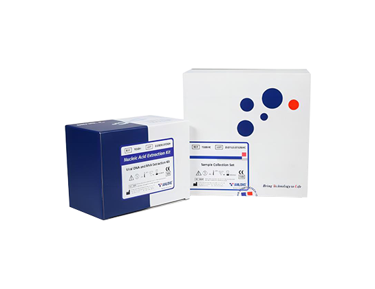 Plasmid DNA Extraction Kit 4 Plasmid DNA Extraction Kit - Image 4