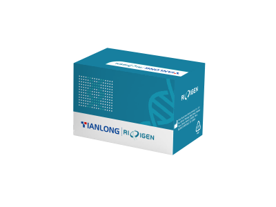 Human K-ras Gene Mutation Detection Kit 1 Human K-ras Gene Mutation Detection Kit