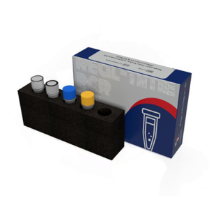 Monkeypox Virus Nucleic Acid Detection Kit