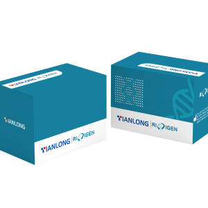 Human K-ras Gene Mutation Detection Kit