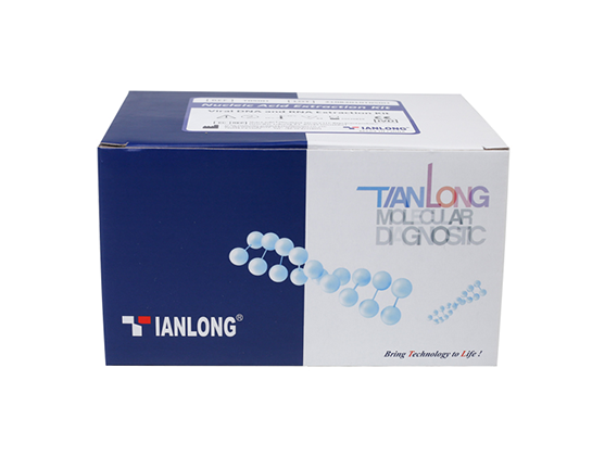 Dried Blood Spot Genomic DNA Extraction Kit 4 Dried Blood Spot Genomic DNA Extraction Kit - Image 4