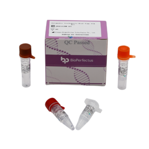 Chlamydia Trachomatis Real-Time PCR Kit