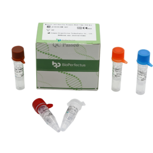 Measles and Rubella Viruses Real-Time PCR Kit