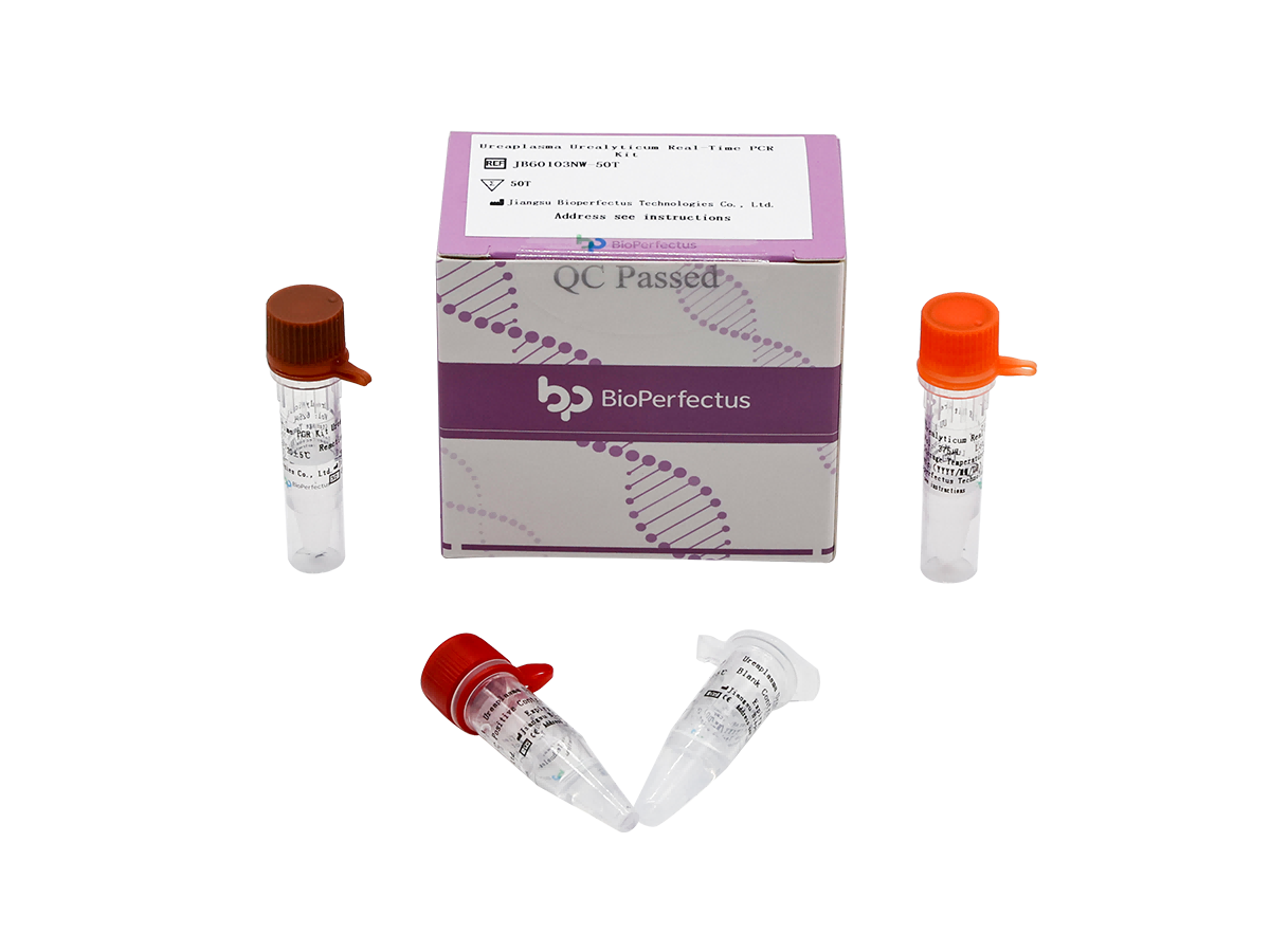 Ureaplasma Urealyticum Real Time PCR Kit 1 Ureaplasma Urealyticum Real Time PCR Kit