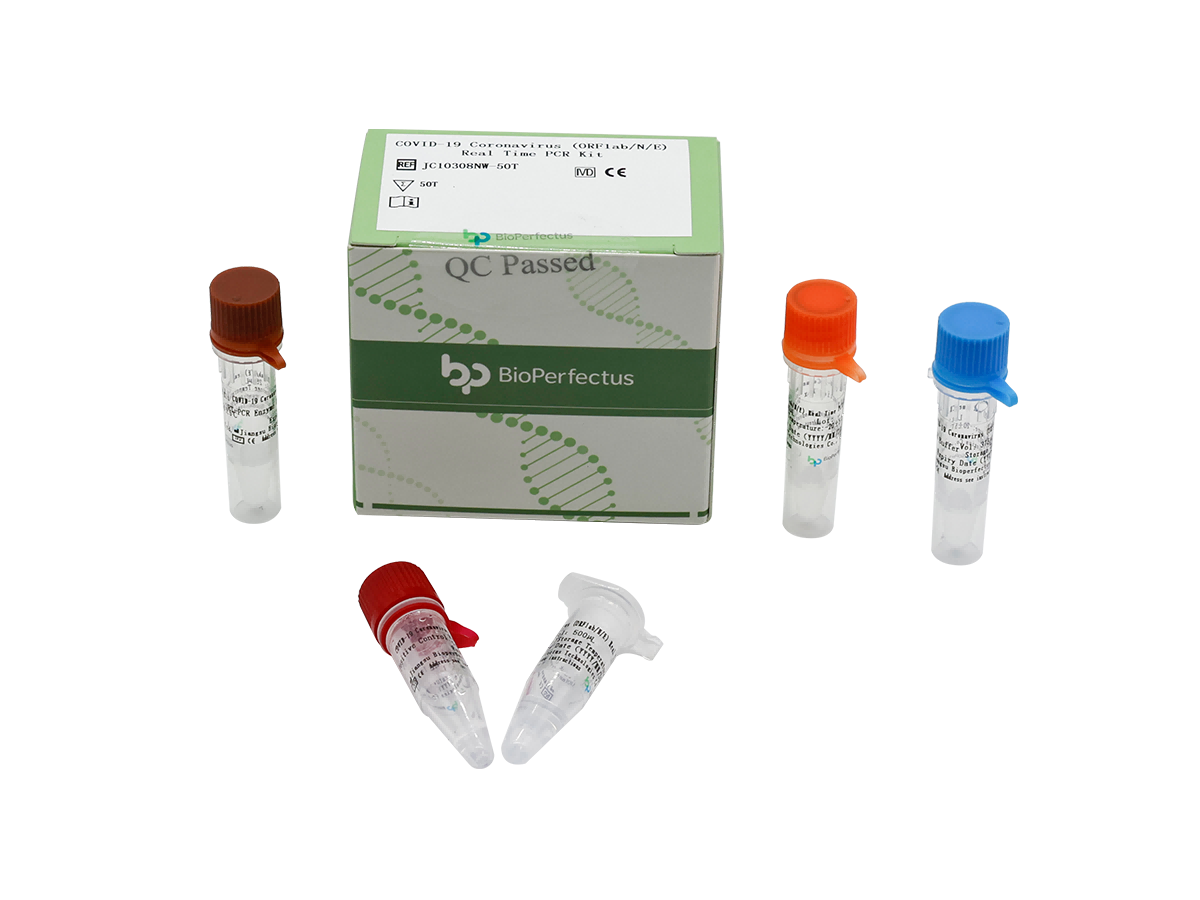 COVID-19 Coronavirus (ORF1ab/N/E) Real Time PCR Kit 1 COVID-19 Coronavirus (ORF1ab/N/E) Real Time PCR Kit
