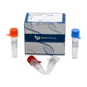 Plasmodium DNA Real Time PCR Kit