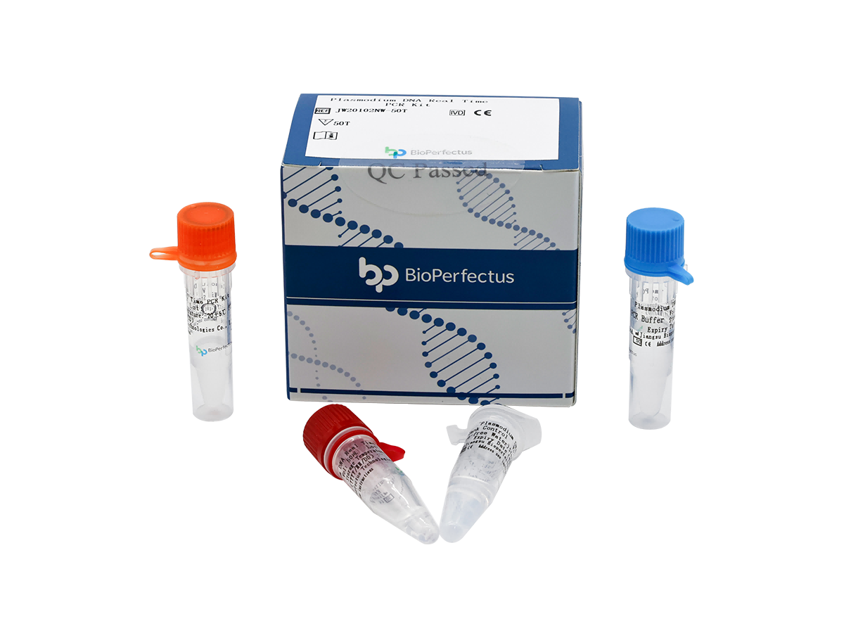 Plasmodium DNA Real Time PCR Kit 1 Plasmodium DNA Real Time PCR Kit