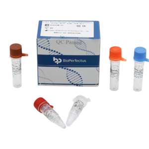 Zika Virus / Dengue Virus / Chikungunya Virus Real Time PCR Kit