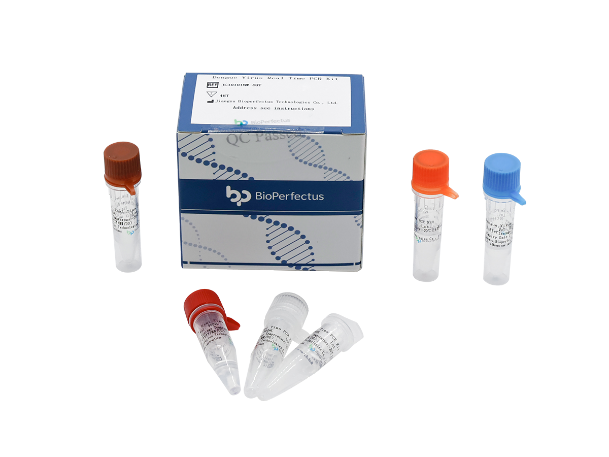 Dengue Virus Real Time PCR Kit 1 Dengue Virus Real Time PCR Kit