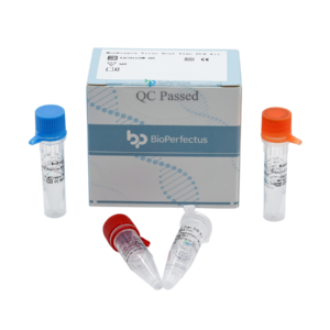 Monkeypox Virus Real Time PCR Kit