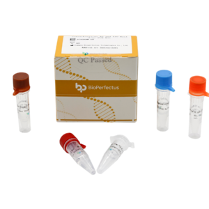 Coxsackievirus A6 and A10 Real-Time PCR Kit