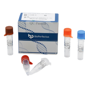West Nile Virus Real Time PCR Kit