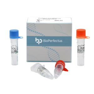 Monkeypox Virus (MPXV) Fast Real Time PCR Kit