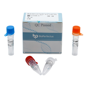 Monkeypox Virus/Varicella-zoster Virus/Variola Virus Real Time PCR Kit