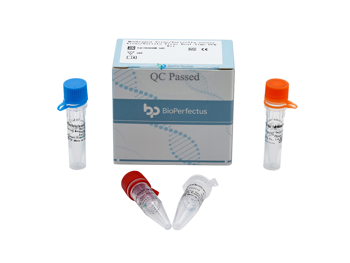 Monkeypox Virus/Varicella-zoster Virus/Variola Virus Real Time PCR Kit 1 Monkeypox Virus/Varicella-zoster Virus/Variola Virus Real Time PCR Kit
