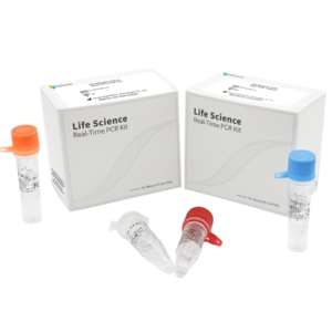 Vibrio Cholerae Real Time PCR Kit (RUO)