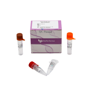 Herpes Simplex Virus Real Time PCR Kit