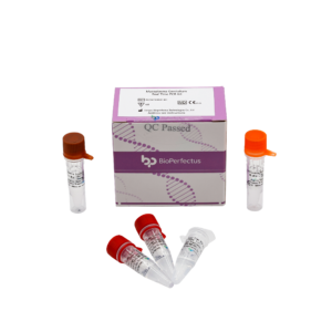 Mycoplasma Genitalium Real Time PCR Kit