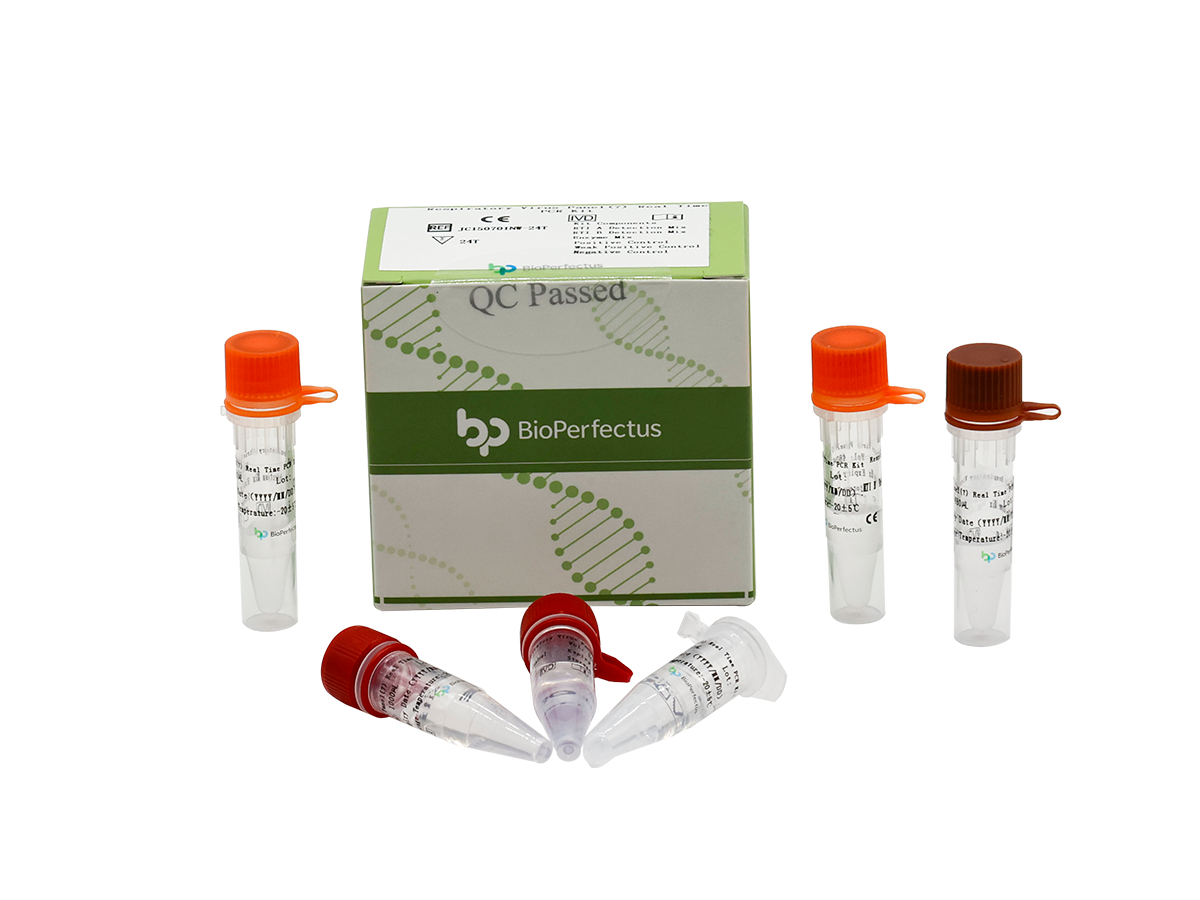 Respiratory Virus Panel (7) Real Time PCR Kit 1 Respiratory Virus Panel (7) Real Time PCR Kit
