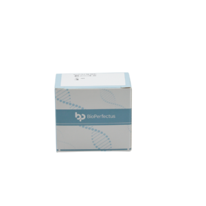 Hendra Virus Real Time PCR Kit