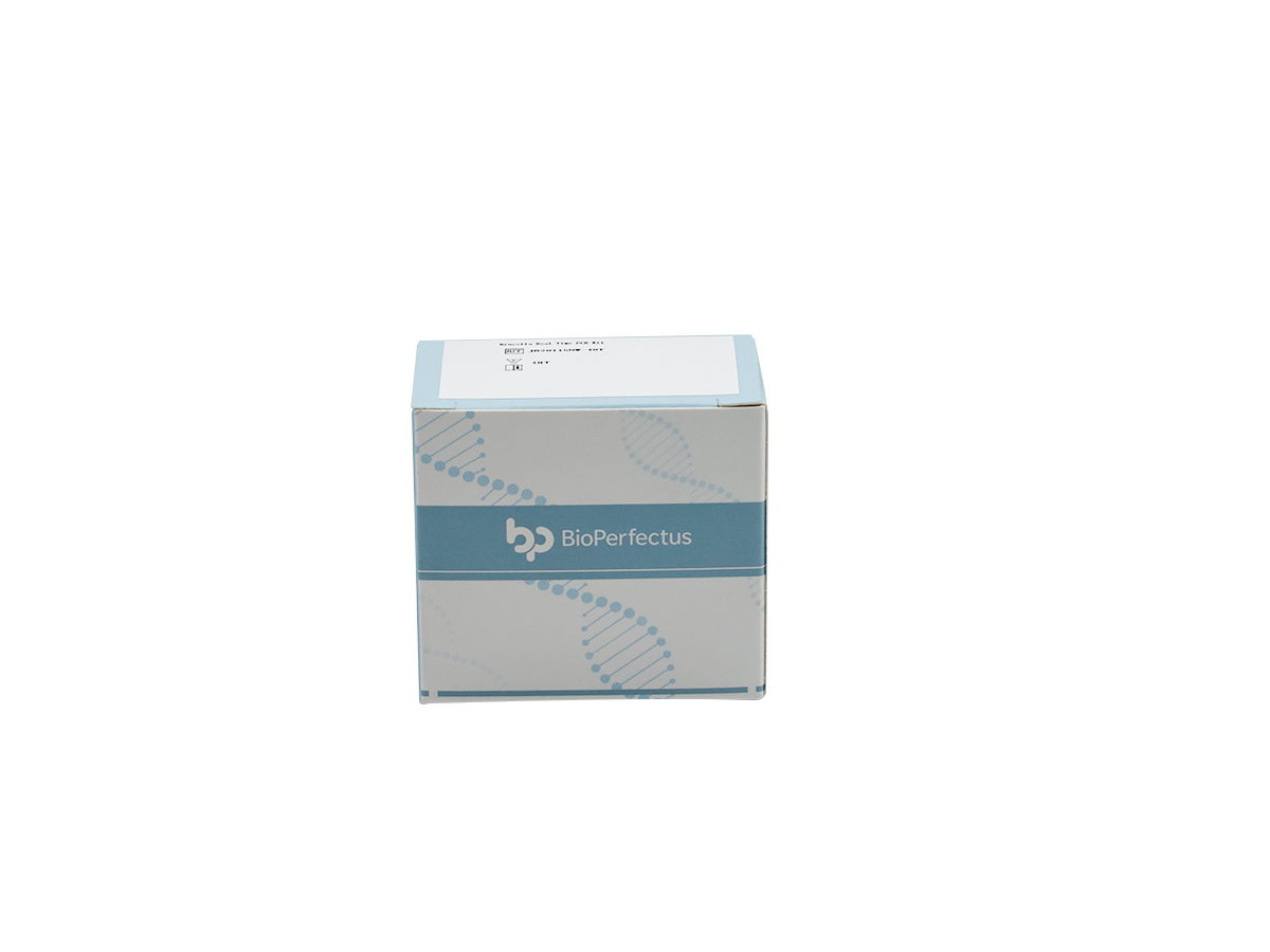 Hendra Virus Real Time PCR Kit 1 Hendra Virus Real Time PCR Kit