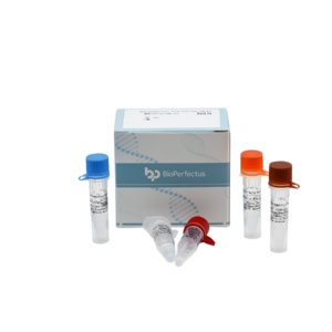 Rift Valley Fever Virus Real Time PCR Kit