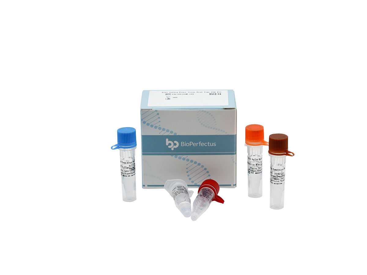 Rift Valley Fever Virus Real Time PCR Kit 1 Rift Valley Fever Virus Real Time PCR Kit