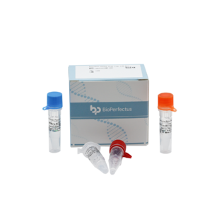 Yersinia Pestis Real Time PCR Kit