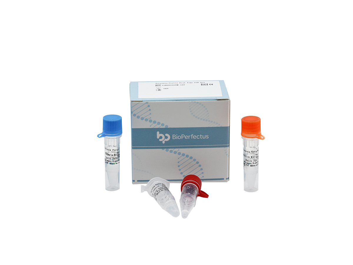 Yersinia Pestis Real Time PCR Kit 1 Yersinia Pestis Real Time PCR Kit