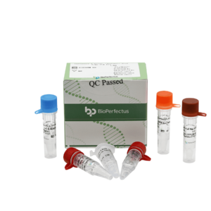 Influenza A Virus (H1N1 & H3) Real Time PCR Kit