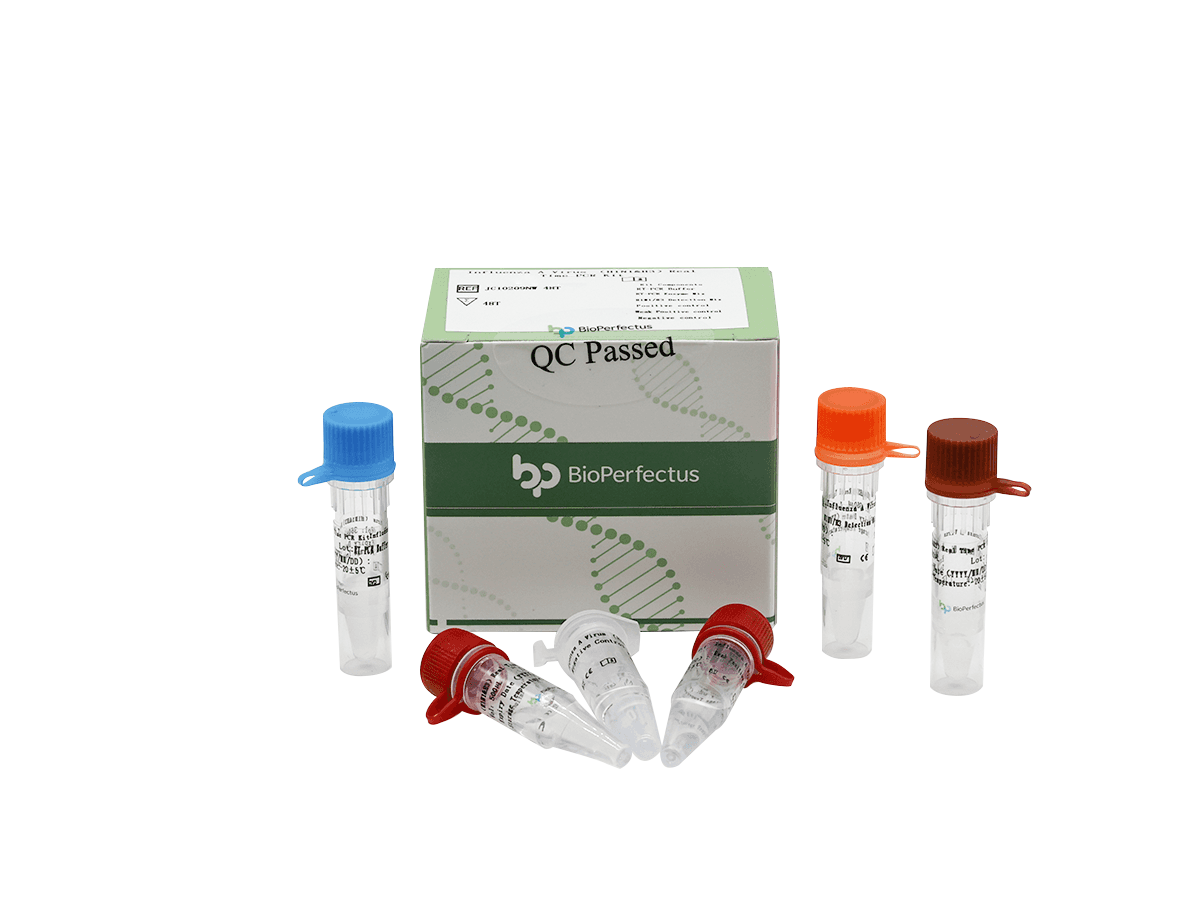 Influenza A Virus (H1N1 & H3) Real Time PCR Kit 1 Influenza A Virus (H1N1 & H3) Real Time PCR Kit