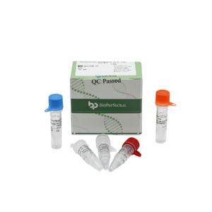 Streptococcus Pneumoniae Real Time PCR Kit