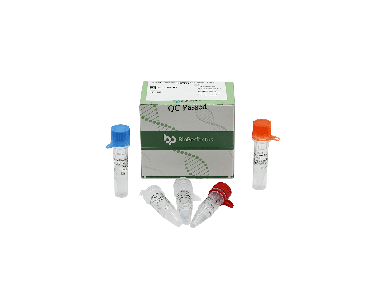 Streptococcus Pneumoniae Real Time PCR Kit 1 Streptococcus Pneumoniae Real Time PCR Kit