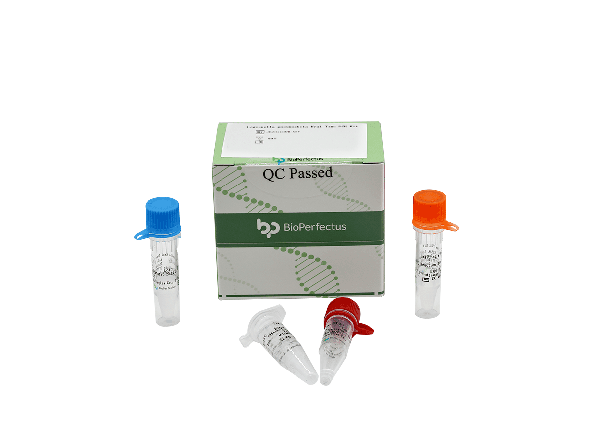 Legionella Pneumophila Real Time PCR Kit 1 Legionella Pneumophila Real Time PCR Kit