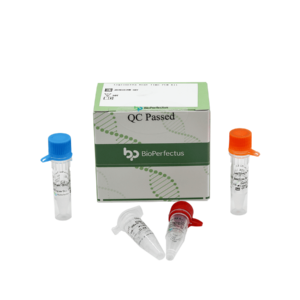 Legionella Real Time PCR Kit